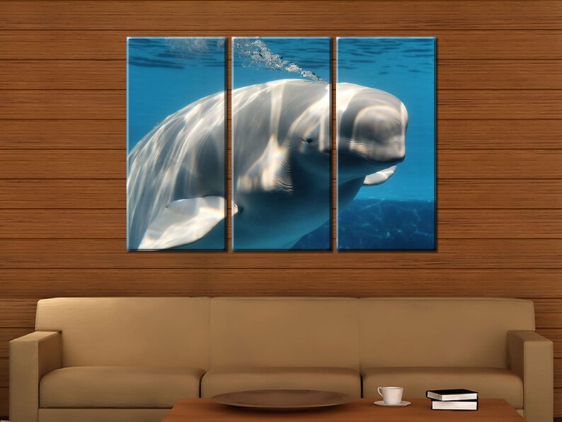 Framed Huge 3-Panel Ocean Sea World White Beluga Whale Art Canvas Art Print Ready to Hang image 2