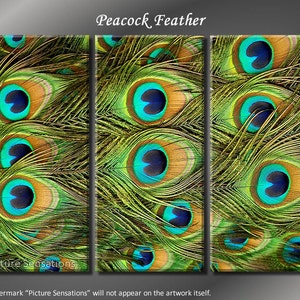 Framed Huge 3 Panel Modern Beauty Peacock Feather Giclee Canvas Print Ready to Hang image 1