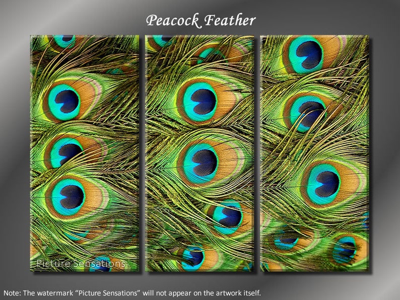 Framed Huge 3 Panel Modern Beauty Peacock Feather Giclee Canvas Print Ready to Hang image 1