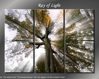 Framed Huge 3 Panel Sun Tree Rays of Light Giclee Canvas Print - Ready to Hang