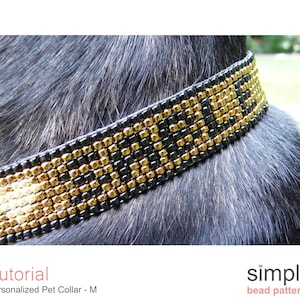 May include: A black and gold beaded dog collar with a simple geometric pattern. The collar is on a black dog.