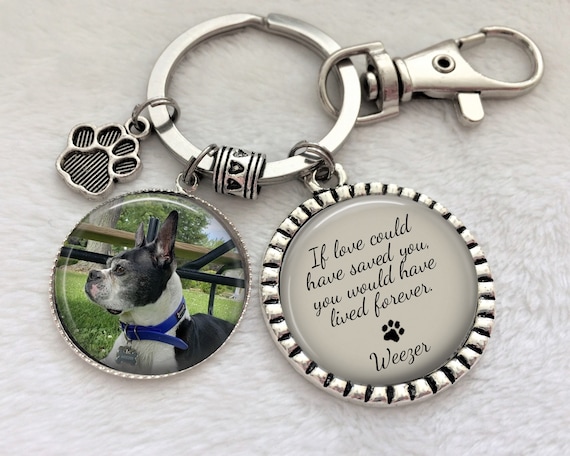 Ikunne Loss of Pet Keychain Pet Memorial Necklace Jewelry Angel with Paws Pet Memorial Gifts for Dogs Cats Sympathy Gift 