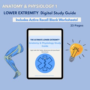 Anatomy and Physiology Study Guide PDF | Lower Extremity OIIA Muscle Tables | Active Recall Worksheets