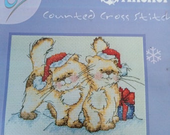CHRISTMAS DAY is a small 14 count cross Anchor stitch kit