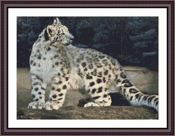 Last One SNOW LEOPARD CUB 14ct Cross Stitch Kit With Sorted
