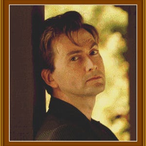 PORTRAIT of  David Tennant is a 14 count cross stitch PDF chart,  pattern