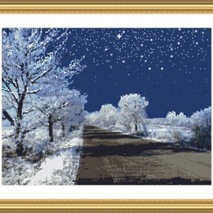 STARRY MIDWINTER&#39;S NIGHT is a14,16 and 18 count cross stitch pattern  for Anchor or Dmc  Threads
