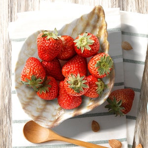May include: A white ceramic bowl shaped like a seashell filled with fresh red strawberries. The bowl is on a white and green striped tablecloth.