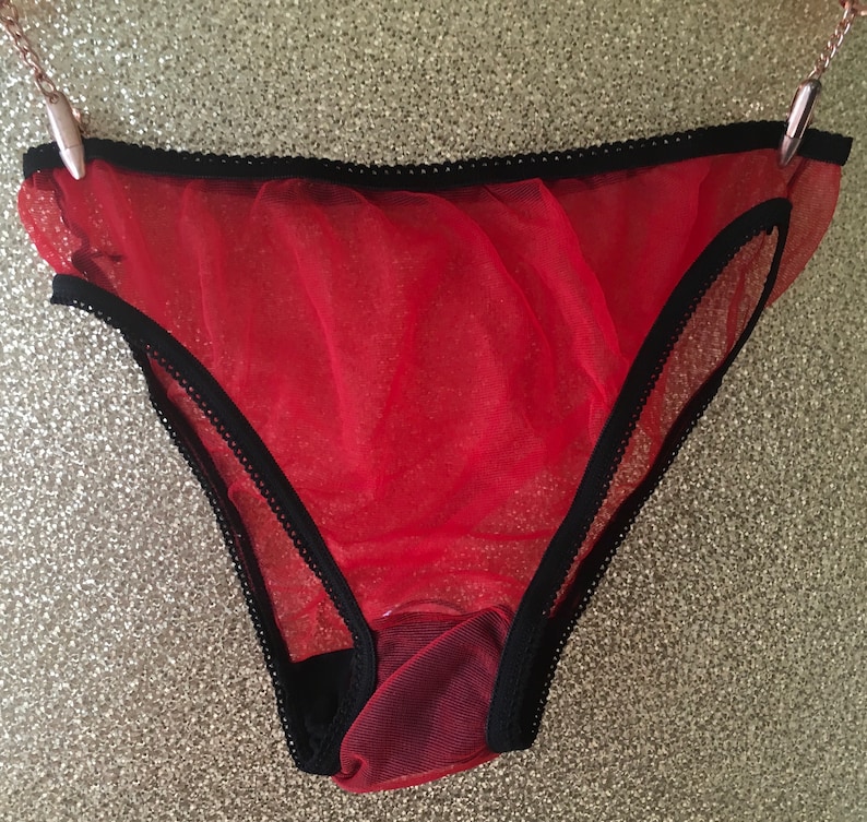 Vintage sheer nylon bikini panties burlesque sissy | Etsy