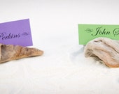 5 Driftwood Place Card Holder, Wedding Favor, Buffet Marker, Nautical Party, Baby Shower or Gift, made out of unique Driftwood