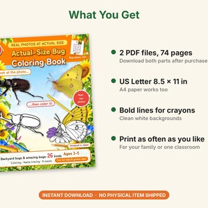 Puede incluir: Un libro para colorear insectos en tama&ntilde;o real para ni&ntilde;os de 3 a 5 a&ntilde;os con ilustraciones de escarabajos y mariposas junto a fotos reales. La portada incluye texto, girasoles y l&aacute;pices de colores. Detalles: 2 archivos PDF, tama&ntilde;o 8.5 x 11 pulgadas.