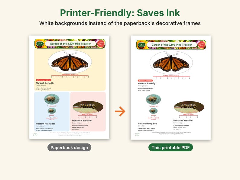 Butterfly & Moth Coloring Pages, Printable PDF, Monarch, Blue Morpho, Luna Moth With Actual-Size Photos, Kids Nature Study image 4