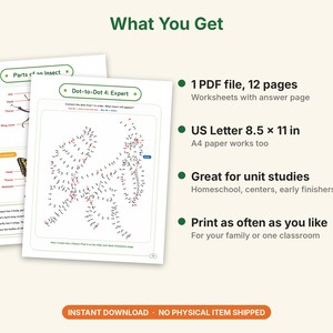 Insect Worksheets Printable, Parts of an Insect, Bug Quiz With Answers, 4 Dot to Dot Puzzles, Homeschool Science Activity, Ages 6-12 image 4
