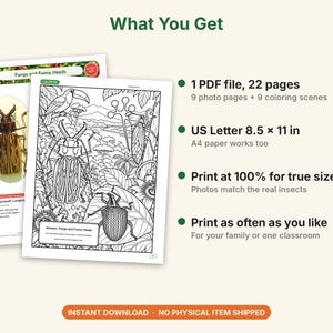 Dibujos para colorear de camuflaje e insectos extraños, PDF imprimible, mantis orquídea, insecto hoja, insecto palo con fotos a tamaño real, ciencia para niños imagen 5