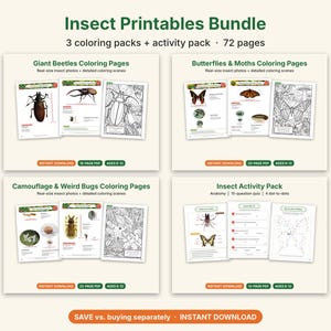 Insect Coloring Pages Bundle, Printable PDF, Beetles, Butterflies, Camouflage Bugs + Insect Quiz & Dot to Dot, Kids Science Activity