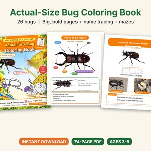 Actual-Size Bug Coloring Book for Preschoolers, Printable PDF, 26 Bugs With Real Photos, Name Tracing & Mazes, Ages 3-5, Pre-K Science