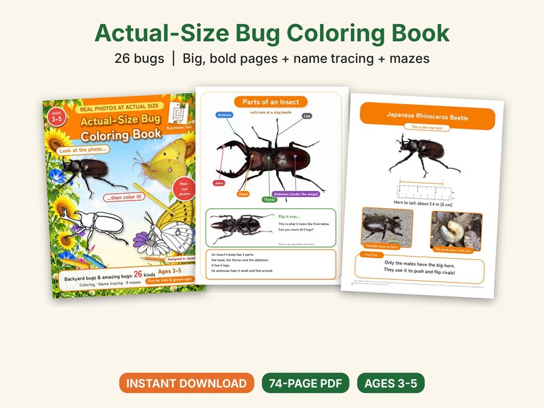 Puede incluir: Un libro para colorear en PDF de 74 p&aacute;ginas titulado Actual-Size Bug Coloring Book, con 26 insectos, actividades de caligraf&iacute;a y laberintos. La portada muestra un escarabajo rinoceronte y una mariposa, con p&aacute;ginas de anatom&iacute;a.