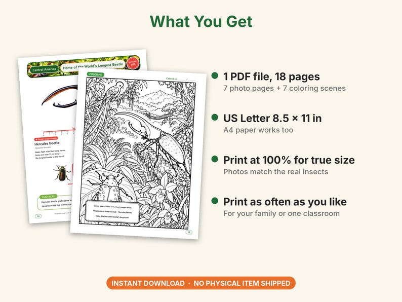 Giant Beetle Coloring Pages, Printable PDF, Hercules, Titan, Goliath & Stag Beetles With Actual-Size Photos, Kids Insect Activity image 5