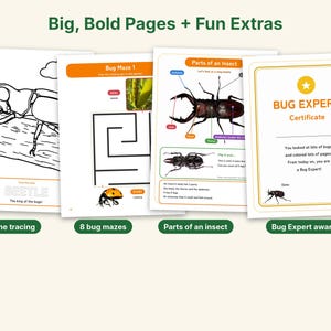 Puede incluir: Cuatro p&aacute;ginas de actividades que incluyen una hoja para colorear de un escarabajo con el texto BEETLE, un laberinto de insectos con una mariquita, un diagrama educativo titulado Parts of an insect y un certificado Bug Expert.