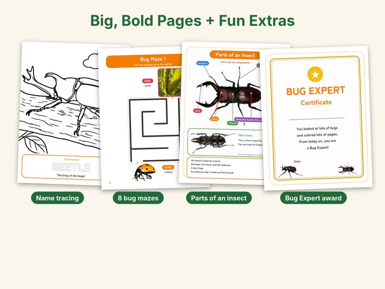 Puede incluir: Cuatro p&aacute;ginas de actividades que incluyen una hoja para colorear de un escarabajo con el texto BEETLE, un laberinto de insectos con una mariquita, un diagrama educativo titulado Parts of an insect y un certificado Bug Expert.