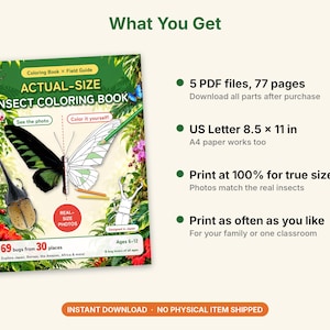 Actual-Size Insect Coloring Book, Printable PDF, 69 Bugs With Real Photos, Beetle & Butterfly Coloring Pages, Ages 6-12, Homeschool Science image 7