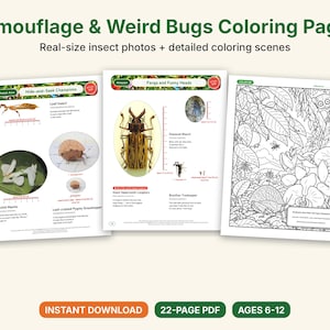 Dibujos para colorear de camuflaje e insectos extraños, PDF imprimible, mantis orquídea, insecto hoja, insecto palo con fotos a tamaño real, ciencia para niños imagen 1