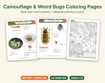 Camouflage & Weird Bugs Coloring Pages, Printable PDF, Orchid Mantis, Leaf Insect, Stick Insect With Actual-Size Photos, Kids Science