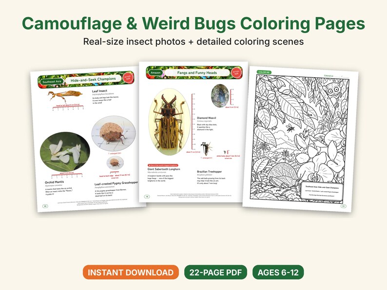 Dibujos para colorear de camuflaje e insectos extraños, PDF imprimible, mantis orquídea, insecto hoja, insecto palo con fotos a tamaño real, ciencia para niños imagen 1