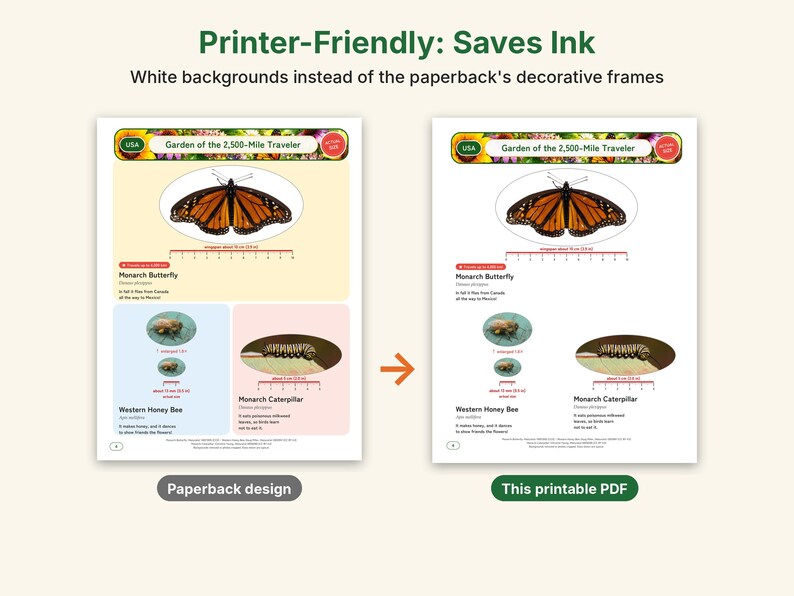 Dibujos para colorear de camuflaje e insectos extraños, PDF imprimible, mantis orquídea, insecto hoja, insecto palo con fotos a tamaño real, ciencia para niños imagen 4