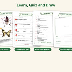 Insect Worksheets Printable, Parts of an Insect, Bug Quiz With Answers, 4 Dot to Dot Puzzles, Homeschool Science Activity, Ages 6-12 image 2