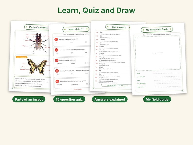 Insect Worksheets Printable, Parts of an Insect, Bug Quiz With Answers, 4 Dot to Dot Puzzles, Homeschool Science Activity, Ages 6-12 image 2