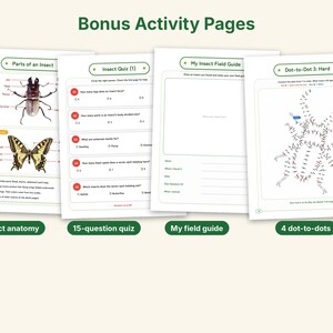 Actual-Size Insect Coloring Book, Printable PDF, 69 Bugs With Real Photos, Beetle & Butterfly Coloring Pages, Ages 6-12, Homeschool Science image 5