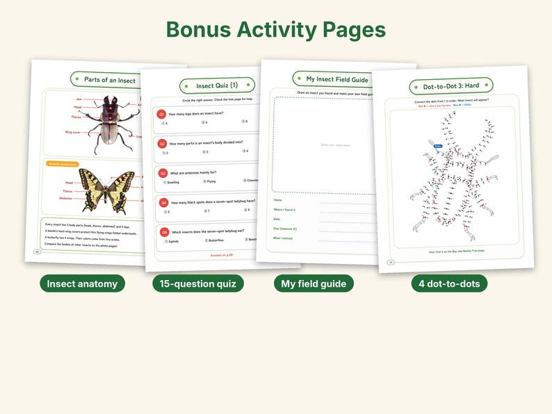 Actual-Size Insect Coloring Book, Printable PDF, 69 Bugs With Real Photos, Beetle & Butterfly Coloring Pages, Ages 6-12, Homeschool Science image 5