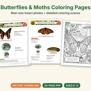 Butterfly & Moth Coloring Pages, Printable PDF, Monarch, Blue Morpho, Luna Moth With Actual-Size Photos, Kids Nature Study image 1