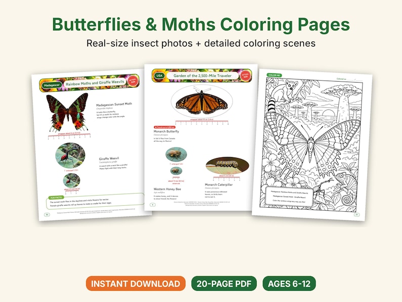 Butterfly & Moth Coloring Pages, Printable PDF, Monarch, Blue Morpho, Luna Moth With Actual-Size Photos, Kids Nature Study image 1