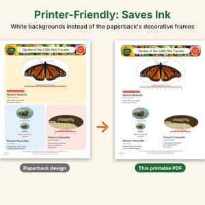 Giant Beetle Coloring Pages, Printable PDF, Hercules, Titan, Goliath & Stag Beetles With Actual-Size Photos, Kids Insect Activity image 4