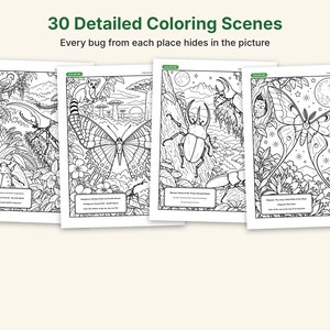 Actual-Size Insect Coloring Book, Printable PDF, 69 Bugs With Real Photos, Beetle & Butterfly Coloring Pages, Ages 6-12, Homeschool Science image 4