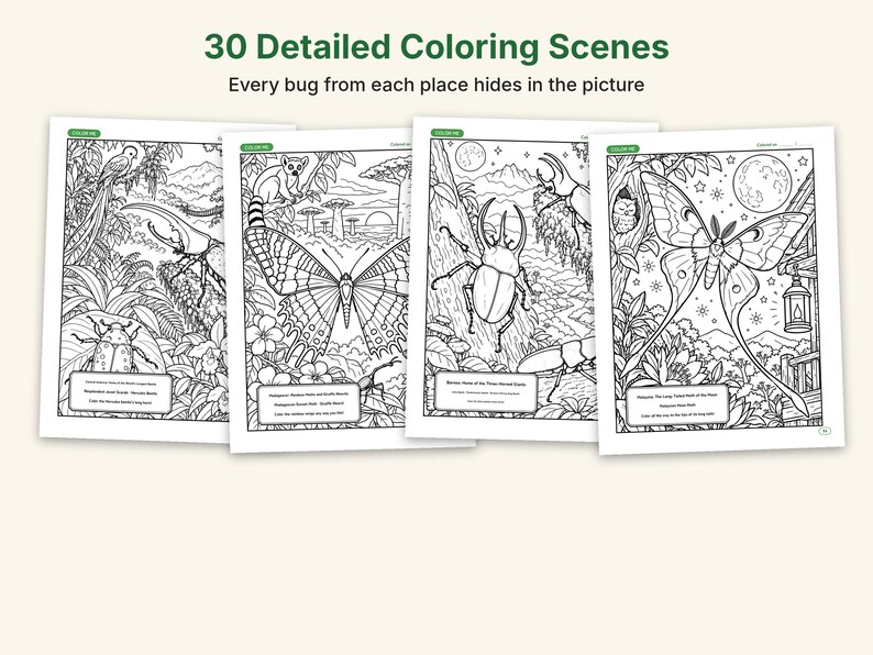 Actual-Size Insect Coloring Book, Printable PDF, 69 Bugs With Real Photos, Beetle & Butterfly Coloring Pages, Ages 6-12, Homeschool Science image 4
