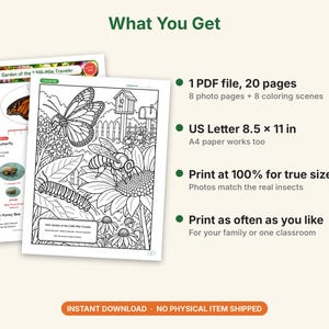 Butterfly & Moth Coloring Pages, Printable PDF, Monarch, Blue Morpho, Luna Moth With Actual-Size Photos, Kids Nature Study image 5