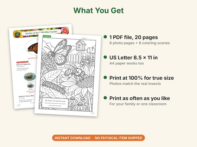 Butterfly & Moth Coloring Pages, Printable PDF, Monarch, Blue Morpho, Luna Moth With Actual-Size Photos, Kids Nature Study image 5