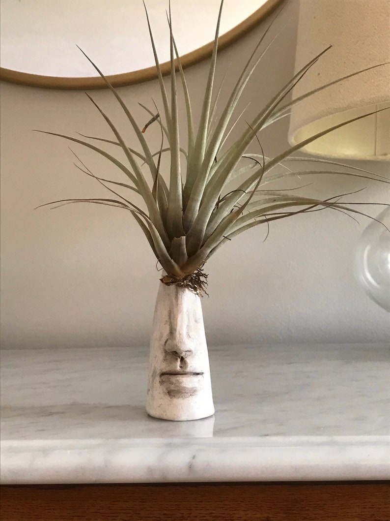 Air Plant holder  Etsy