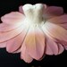 see more listings in the Paper Sculptures section