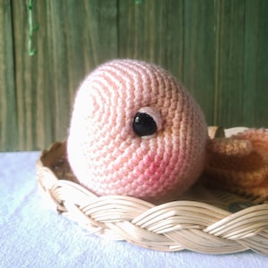 Gehäkelte Amigurumi Fisch Muster, Anfänger Fisch Plushie Muster, Goldfisch Anfänger Amigurumi Muster, Low Sew Amigurumi Plushie