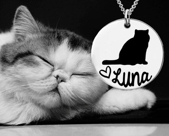 Exotic Shorthair Cat Cat Pendant Cat Lover Cat Jewelry Etsy