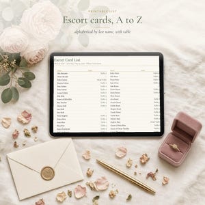 Wedding Seating Chart Template, Table Seating Plan Spreadsheet for Excel & Google Sheets, Alphabetical Escort Card List, Table Planner image 3