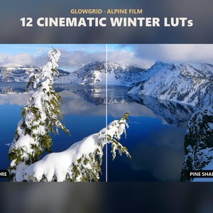 12 LUTs de invierno cinematográficos para DaVinci Resolve, Premiere Pro, Final Cut, CapCut, preajustes de corrección de color con aspecto cinematográfico, paquete de LUTs de vídeo acogedores y con ambiente.