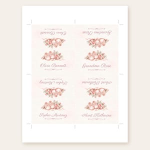 May include: A sheet of four printable labels featuring a soft pink watercolor background, illustrations of baby shoes and roses, and the names Olivia Bennett, Grandma Rose, Sophia Martinez, and Aunt Katherine in elegant script typography.