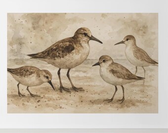 Shore birds printable wall art, Coastal print, Ink illustration, Downloadable artwork