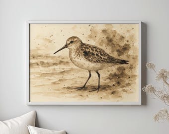 Sandpiper bird printable wall art, Coastal print, Ink illustration, Downloadable artwork