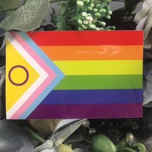 Drapeau de la fierté, autocollant fierté, autocollant LGBTQ, autocollant allié LGBTQ, autocollant de sensibilisation, l'amour est l'amour, l'amour gagne, autocollant en vinyle * vieux stock *